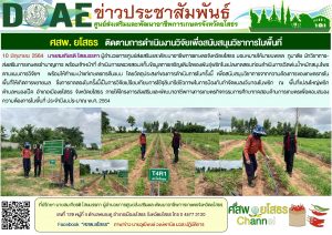 ติดตามงานวิจัยในพื้นที่