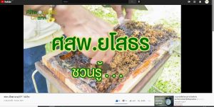 ศสพ ยโสธร ชวนรู้ EP 1 ชันโรง