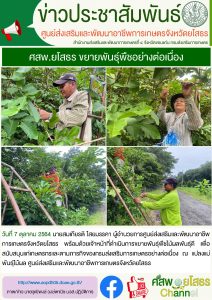 ศสพ.ยโสธร ขยายพันธุ์พืชอย่างต่อเนื่อง